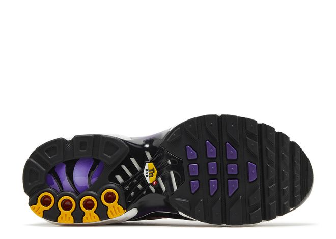 Nike Air Max Plus Voltage Purple (GS)