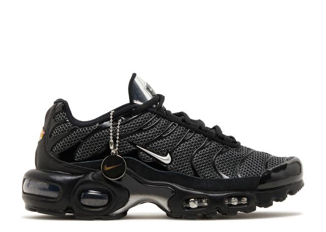 Nike Air Max Plus Black Suede Silver (W)