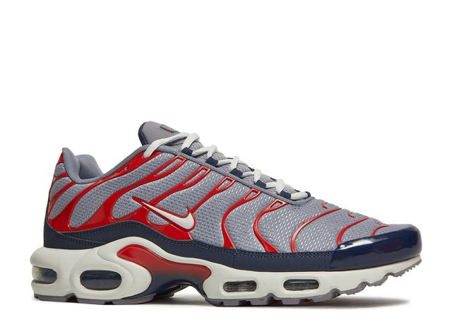 Nike Air Max Plus USA Grey